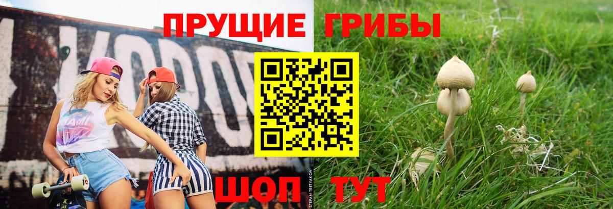 Галлюциногенные грибы GOLDEN TEACHER  Вход с VPN  Каменка 